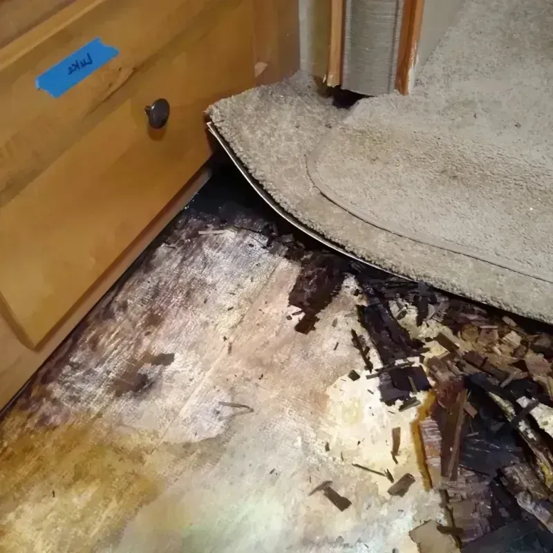 Wood Floor Water Damage in Saint Johns, MI